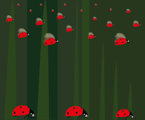 illustration of a ladybug