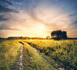 Naklejka premium Rotate the road in field