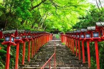 Rolgordijnen Kyoto Fresh Green Kibune-schrijn © oben901