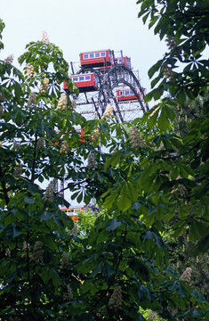 Austria, Vienna, Prater park amusement park big wheel seen behind trees
