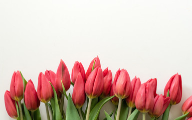 High angle view of large bunch of red tulips on white table (cropped)