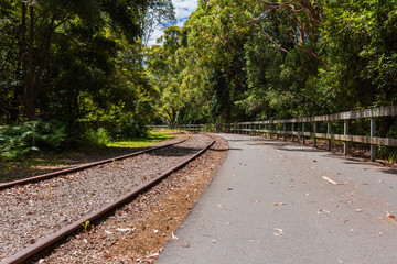 Walking and cycling track besides old railtracks