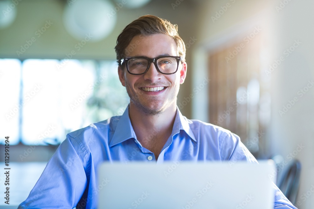 Poster portrait of smiling man using laptop