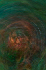 Fototapeta na wymiar Abstract face in woods