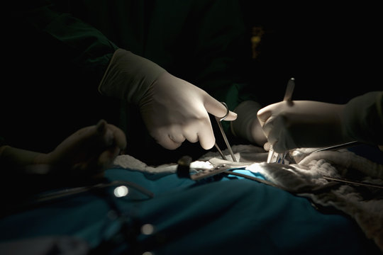 A surgery team operating on a patient in an operating room, focus on hands