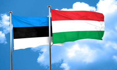 estonia flag with Hungary flag, 3D rendering