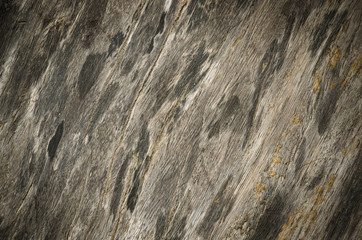 Texture of old wood