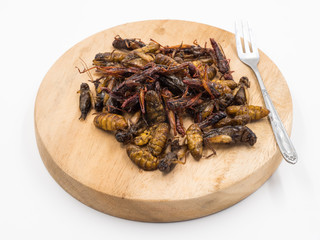 Fried insects. Protein rich food.