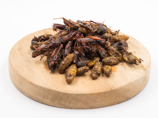 Fototapeta na wymiar Fried insects. Protein rich food.