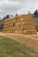 A freshly stacked haystack