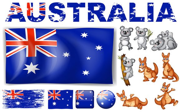 Australia flag in different designs and wild animals