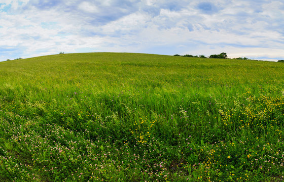 Meadow In Spring In The Hudson Valley Area NY