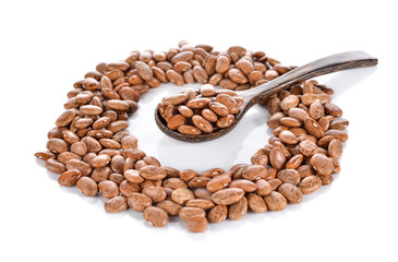 uncooked pinto beans in wooden spoon and on white background