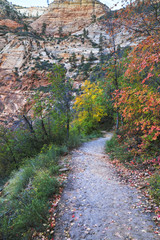 Zion Canion  National Park