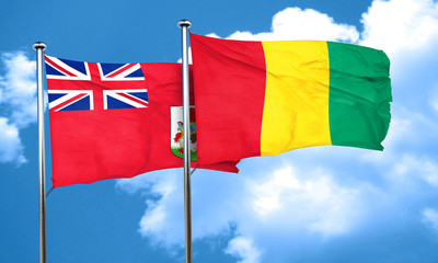 bermuda flag with Guinea flag, 3D rendering