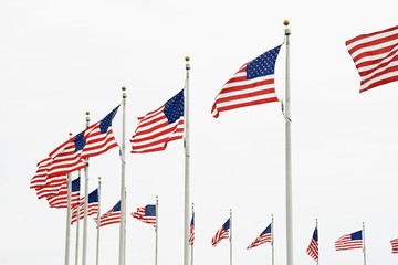 Ring of American flags, Washington DC, USA
