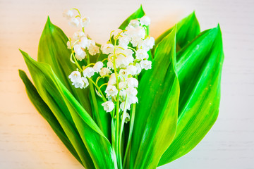 Bouquet of lilies of the valley on the light background. Spring