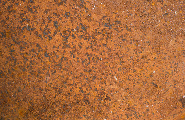 rusty metal leaf for for text or image textured background