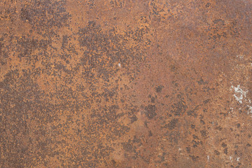 rusty metal leaf for for text or image textured background