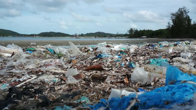 Pollution on the beach of a tropical island. Environmental destruction.