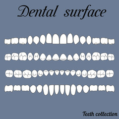 dental surface © brovarky