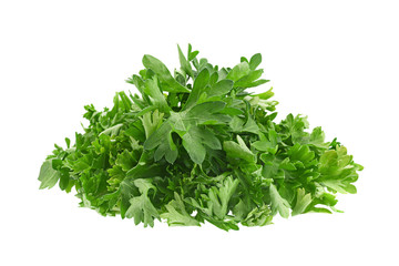 Parsley herb on white