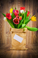 Tulips in the sack on wooden background