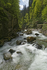 waterfall in the austrian alps:  Kleinwalsertal