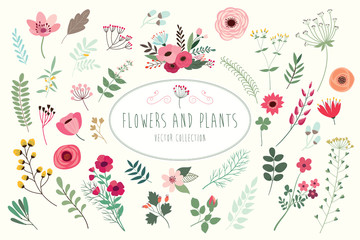 Flowers and plants. Hand drawn floral collection with flowers and leaves.