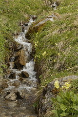 waterfall in the austrian alps: Kleinwalsertal