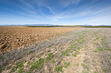 Ploughed and stubble fields in an agricultural landscape in Guadalajara Province, Spain