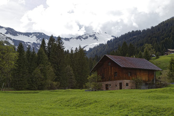 Fototapeta na wymiar austrian alp: Kleinwalsertal
