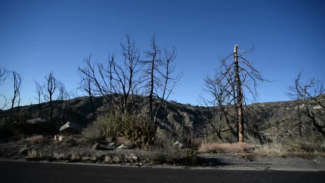 Driving Plates Mountains Canyon CAM4 R 01 Forest California