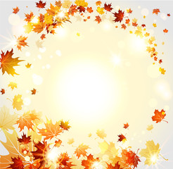 Fall background with fly leaves