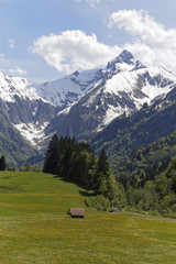 Fototapeta na wymiar meadow with snow covered austrian alps: Kleinwalsertal