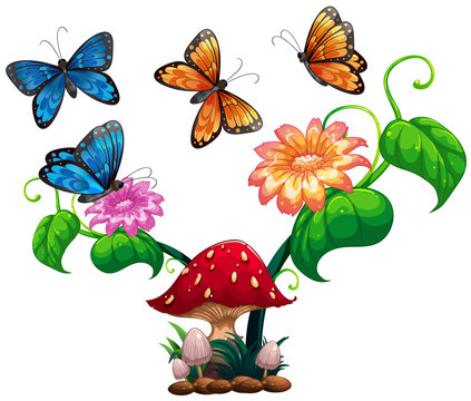 Butterflies flying around mushroom and flower