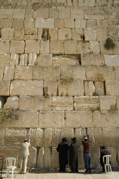 Five men praying at the Wailing Wall, rear view