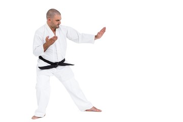 Fighter performing karate stance