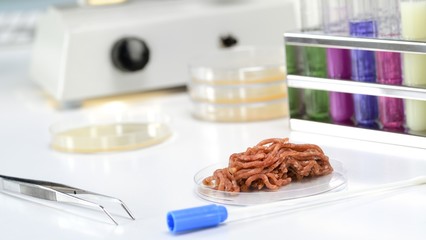 Lebensmittelkontrolle  im Labor Hygiene Hackfleisch