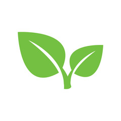 Icons of leaf design green