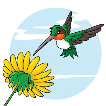 Hummingbird Cartoon
Illustration of cute cartoon hummingbird.