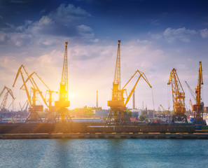 Obraz premium Harbor Level Luffing Cranes in Port