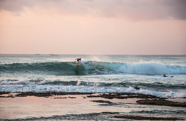 Fototapeta premium Catch the wave