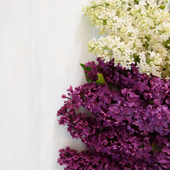 Lilac on a wooden background