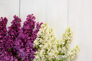 Lilac on a wooden background