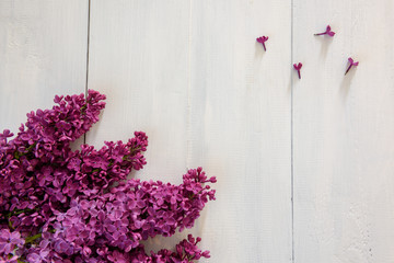 Lilac on a wooden background