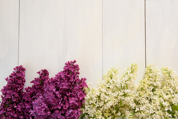 Lilac on a wooden background