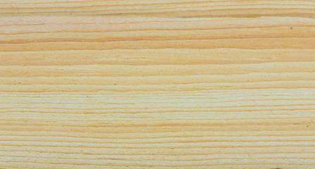 cedar tree wood texture