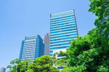 Fototapeta premium 東京 浜離宮恩賜庭園 高層ビル 新緑