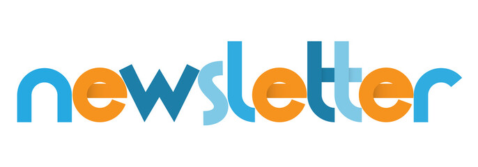 NEWSLETTER colorful vector geometric typography banner